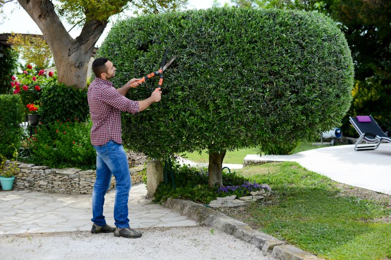 Customized Shrub Care